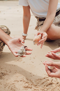 Hands reaching together on sun-drenched sand