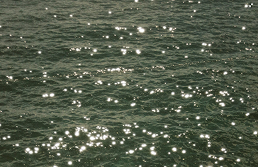 Sunlight dancing on ocean water surface